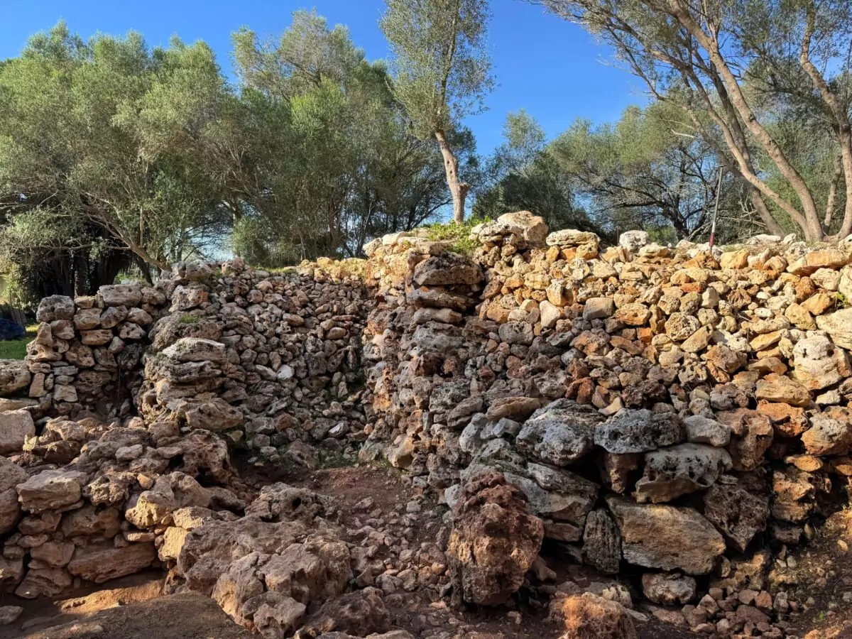 Què amaga el túmul mil·lenari de Son Mas des Potecari?
